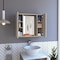 Tuhome Artemisa Medicine Cabinet, Double Door, Mirror, One External Shelf, Light Gray GLZ6751 - alternate 1
